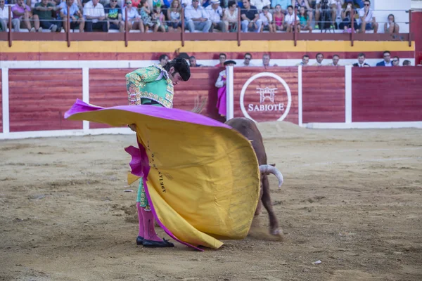 O toureiro espanhol Adrian de Torres touradas com o c — Fotografia de Stock
