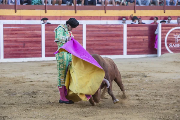 Den spanska tjurfäktare Adrian de Torres tjurfäktning med c — Stockfoto