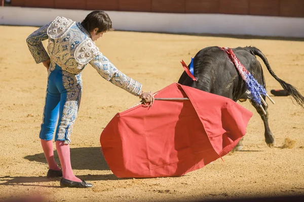 The Spanish Bullfighter bullfighting with the crutch in the Bull — Stock Photo, Image