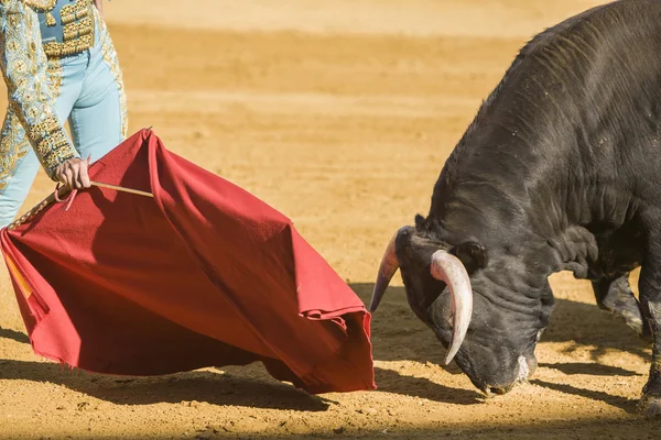 La corrida Bullfighter spagnola con la stampella nella Bull — Foto Stock
