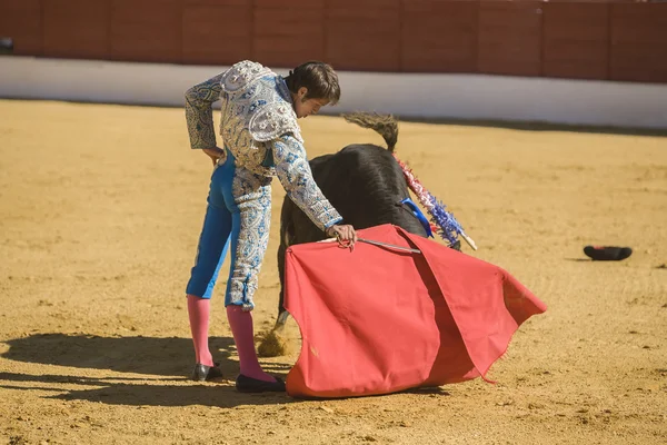De Spaanse stierenvechter stierenvechten met de kruk in de stier — Stockfoto