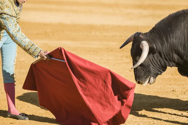 Den spanska tjurfäktare tjurfäktning med kryckan i tjuren — Stockfoto