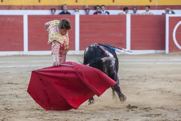 Ο Ισπανικός ταυρομάχος Μιγκέλ Κουέρο ταυρομαχίες με το δεκανίκι στην αρένα της Σασιώτη της Ισπανίας — Φωτογραφία Αρχείου