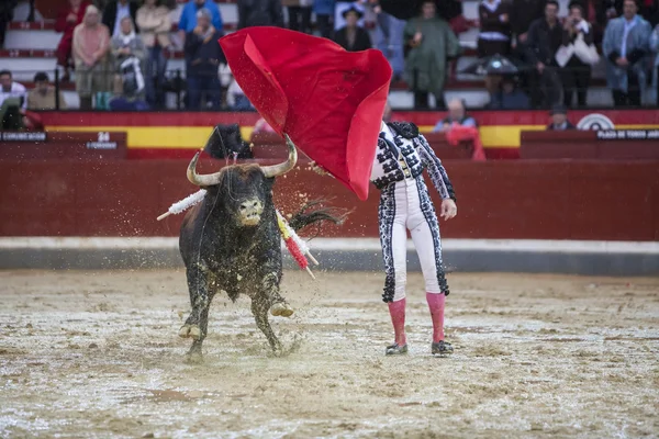 Le torero espagnol Manuel Jesus El Cid pendant une pluie après — Photo