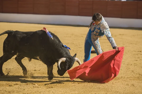 西班牙斗牛士斗牛用拐杖走路的公牛 — 图库照片