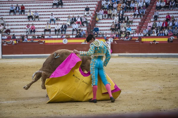 スペインの闘牛士ダニエル・ルケは、スペインのヤンの闘牛場で松葉杖と闘牛 — ストック写真