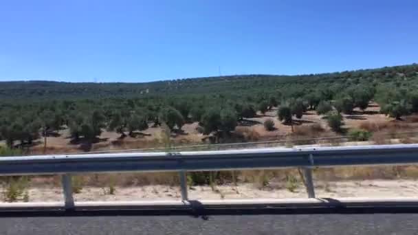 Olivovníky scenérie z vozidla, Španělsko — Stock video