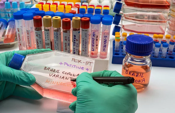 Científico Escribe Vial Nueva Variante Del Virus Covid Brasil Detectado — Foto de Stock