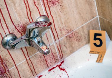 Tuvalette kan izleri olan bir suç mahalli, kavramsal görüntü.