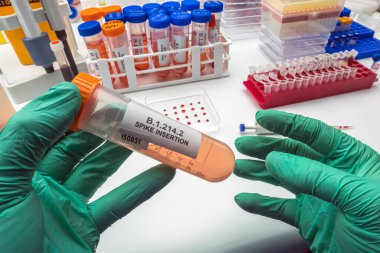 Bilimsel adı B.1.214 olan Spike Insertion (SI) olarak bilinen Belçika 'daki Sars-Cov-2 mutasyonunun laboratuvar analizi, kavramsal görüntü