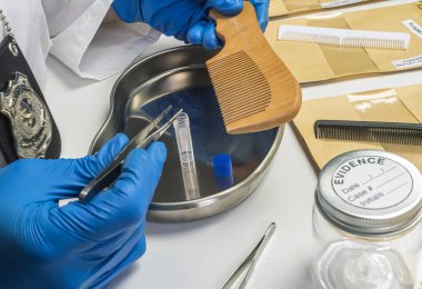 Uzman polis, cinayet kurbanından DNA almak için taraklı saç örneği aldı.
