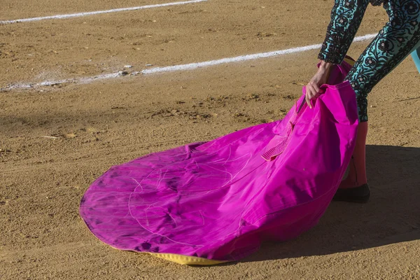 Torero espagnol avec le Cap dans l'arène Sabiote, Sabio — Photo