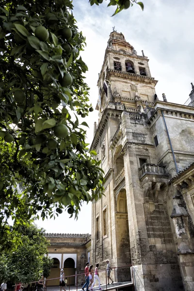 Utsidan av moskén-katedralen, världsarv, Cordoba, Spanien — Stockfoto