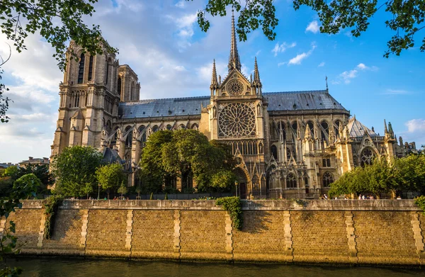 Lindo pôr do sol sobre a catedral de Notre Dame — Fotografia de Stock