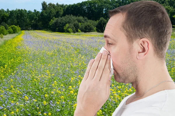 Temporada de alergia, violación —  Fotos de Stock