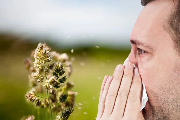 Allergy season, rape — Stock Photo, Image