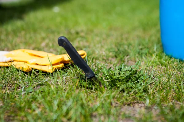 cutting out weeds