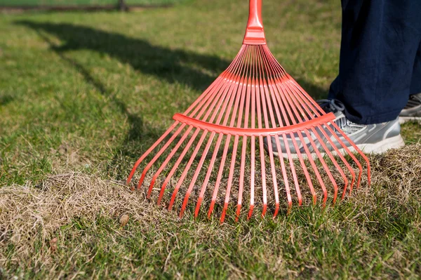 Raking a grama, raking o jardim — Fotografia de Stock