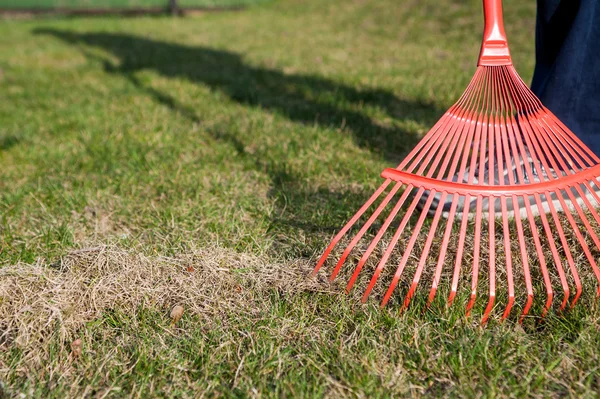 Raking a grama, raking o jardim — Fotografia de Stock