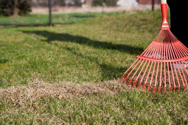 Raking a grama, raking o jardim — Fotografia de Stock