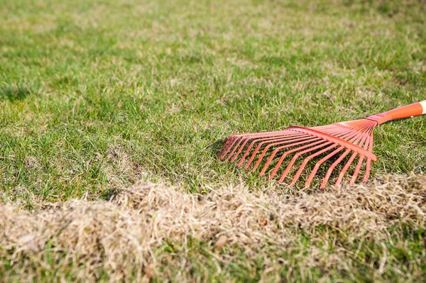 Raking a grama, raking o jardim — Fotografia de Stock