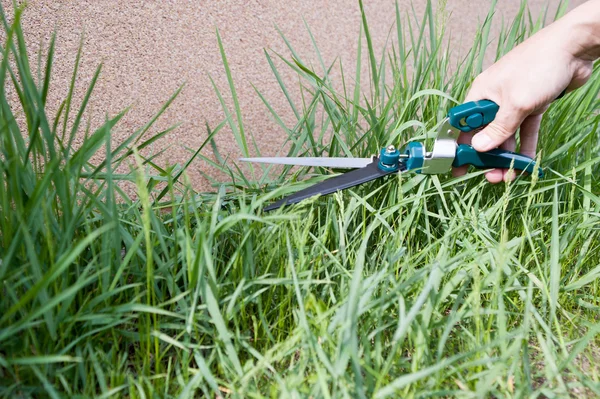 Gras mähen — Stockfoto