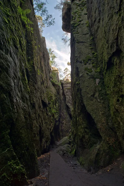 Paisaje — Foto de Stock