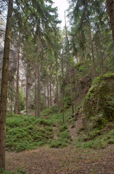 Paisaje — Foto de Stock