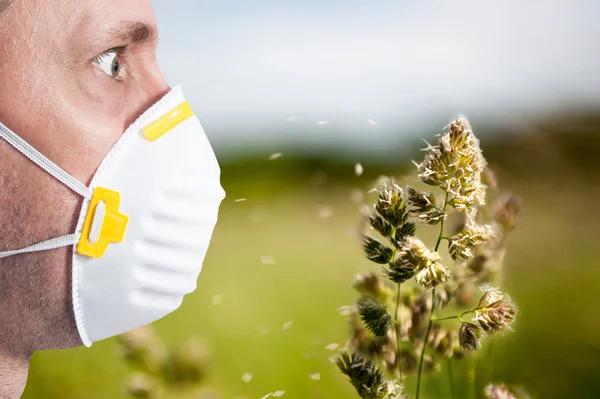 Allergie Saison, Gesicht, Mann, — Stockfoto