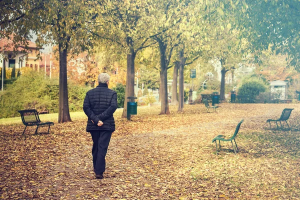 Senior Walking Park Fall Season Back View Lonely Man Walk Royalty Free Stock Images