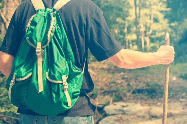 Homem Com Mochila Vintage Andando Madeira Caminhadas Masculinas Seniores Natureza — Fotografia de Stock