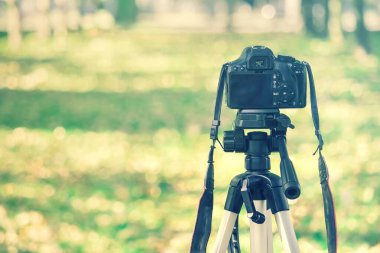 Doğadaki üç ayaklı kamera, arkaplan: yeşil odaklı kopyalanmış kopya alanı
