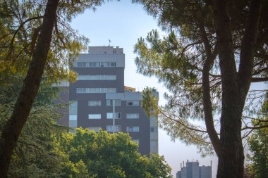 Kentsel ve doğa zıtlığı, binalar ve ağaçlar aynı yerde duruyor