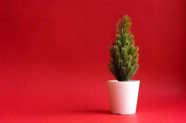 Kırmızı arka planda küçük bir Noel ağacı.