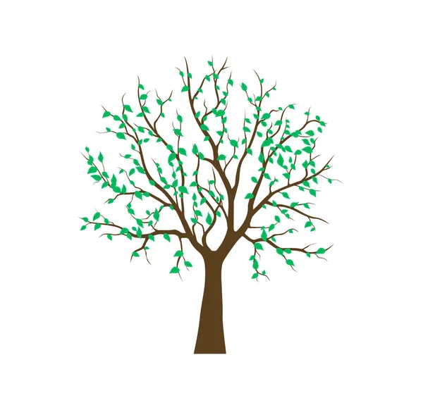 抽象木版画有機的な木の緑。ベクターイラスト — ストックベクタ