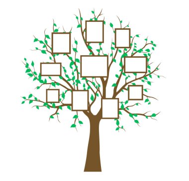 Çerçeve ağacı aile mahsulü, doğa baskısı. Vektör