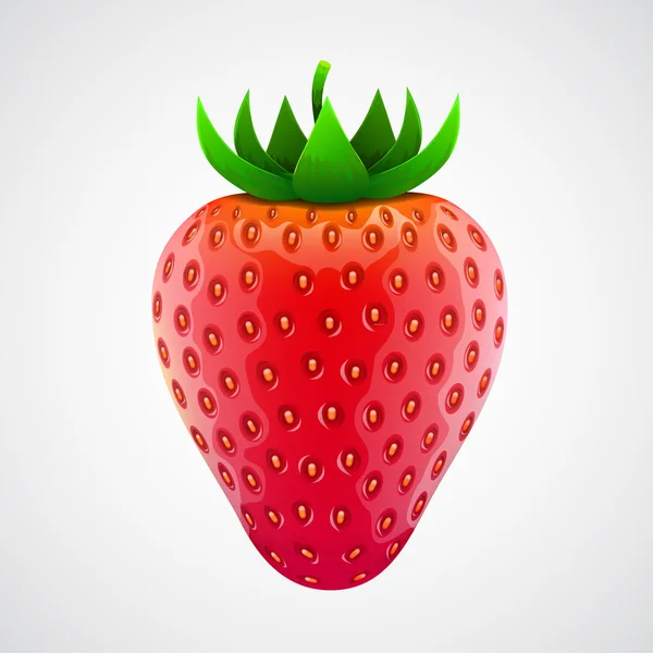 Fresh realistic strawberry. Isolated on white. — Stock Vector