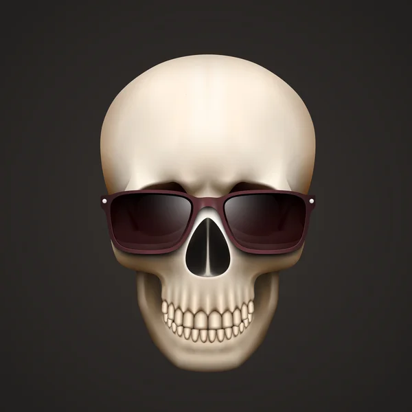 Ludzkie czaszki na białym tle z okulary — Wektor stockowy