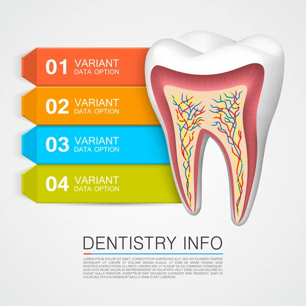 Odontología info arte médico — Vector de stock