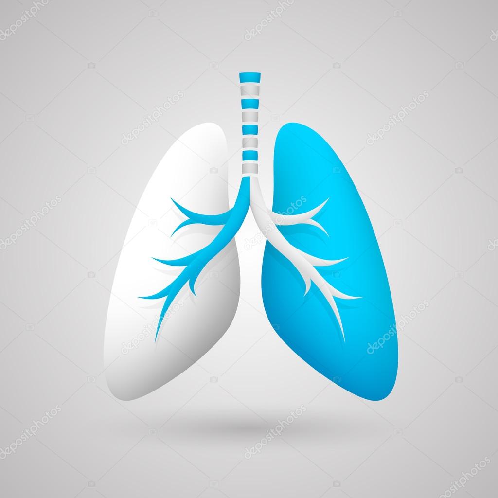Human lungs medical art creative