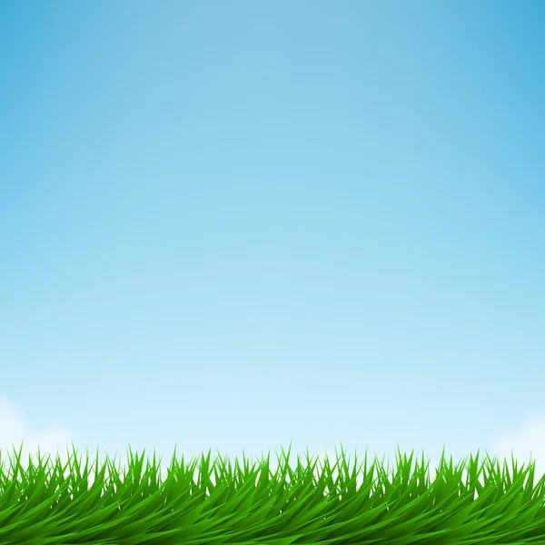 Herbe verte et ciel bleu vif — Image vectorielle