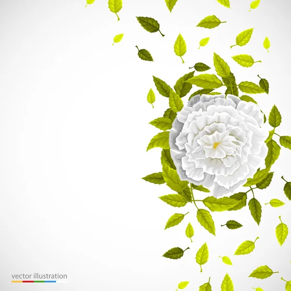 Bílá květina a listy na světlé pozadí. — Stockový vektor