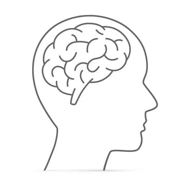 Tête de silhouette avec le cerveau — Image vectorielle