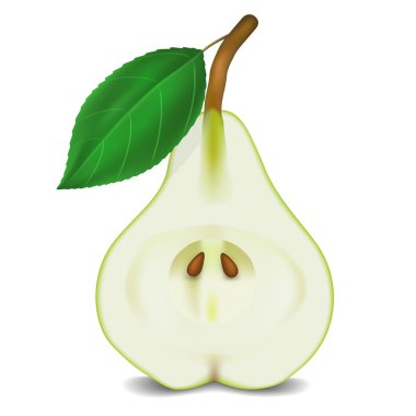 armut beyaz arkaplanda