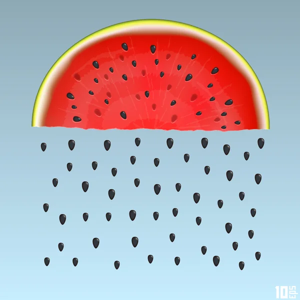 Watermeloen regen — Stockvector
