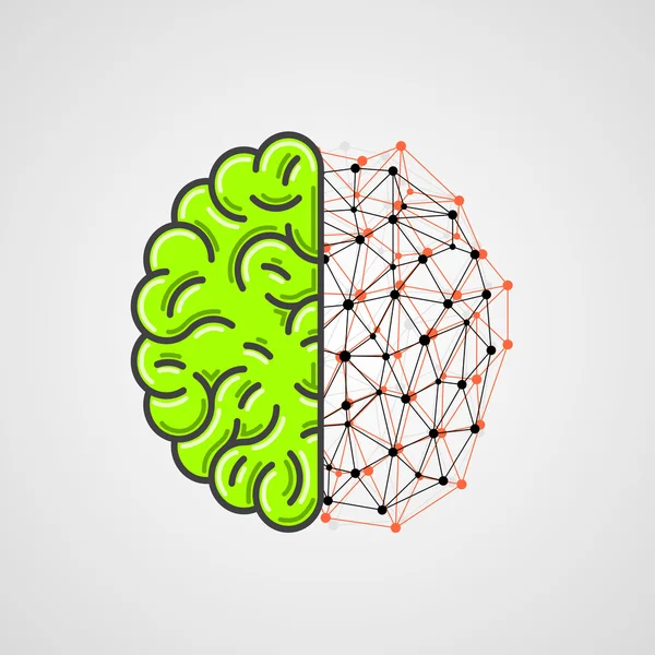 Menschliches Gehirn mit Netzwerkteil. Vektor — Stockvektor