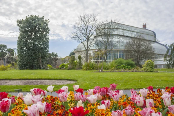 Estufa nos jardins botânicos nacionais — Fotografia de Stock