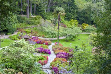 Japanese Garden at Powerscourt State clipart