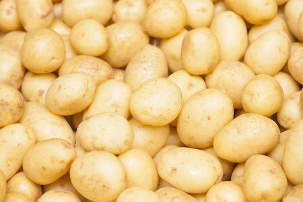 Hintergrund Kartoffeln — Stockfoto