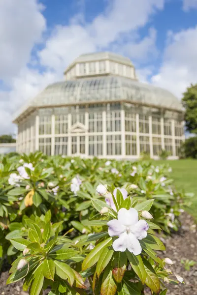 国立の植物園の温室 — ストック写真